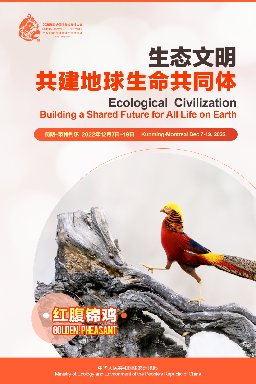微信图片_20221209154319.png