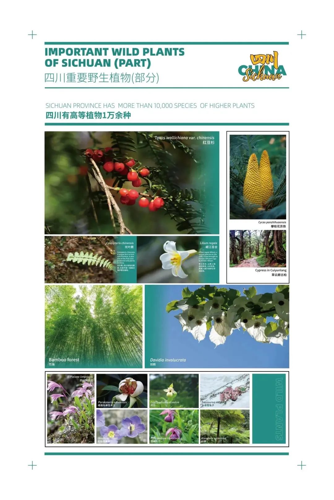 微信图片_20221220150903.jpg