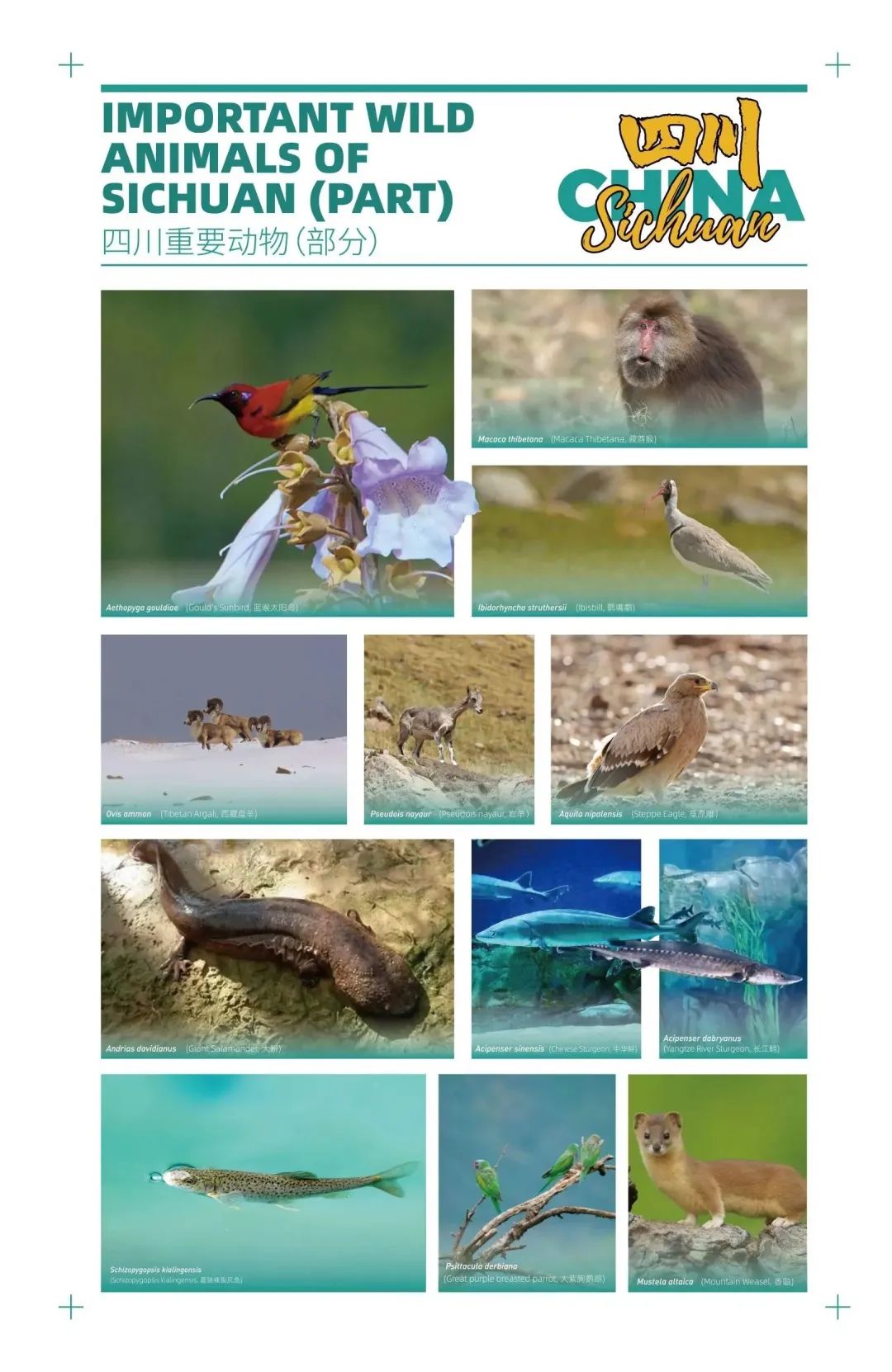微信图片_20221220150933.jpg
