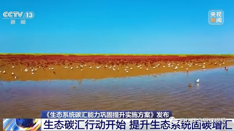 1682479666682035431.png