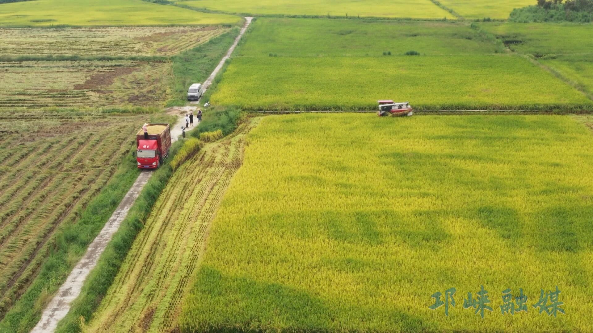 1762934454393045053.jpg 1762934454393045053.jpg