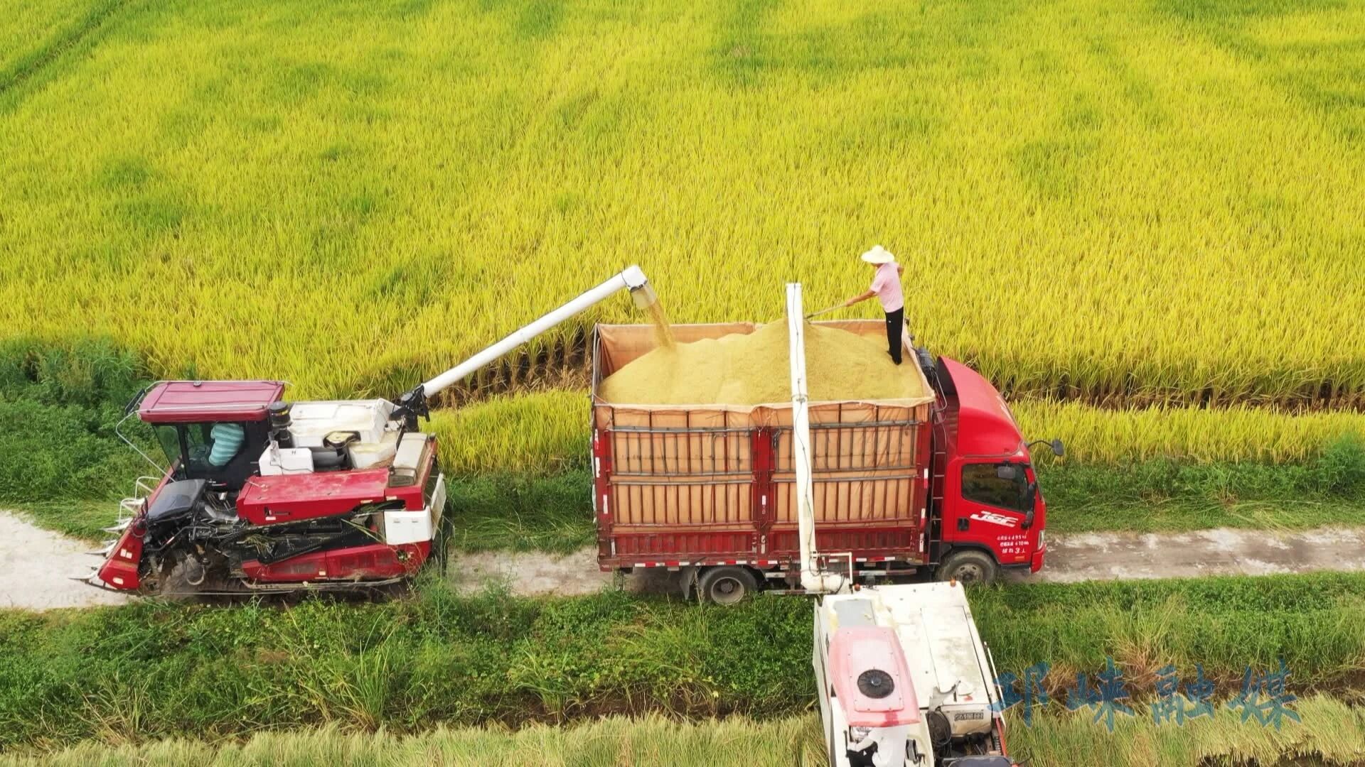 1762934477891019567.jpg 1762934477891019567.jpg