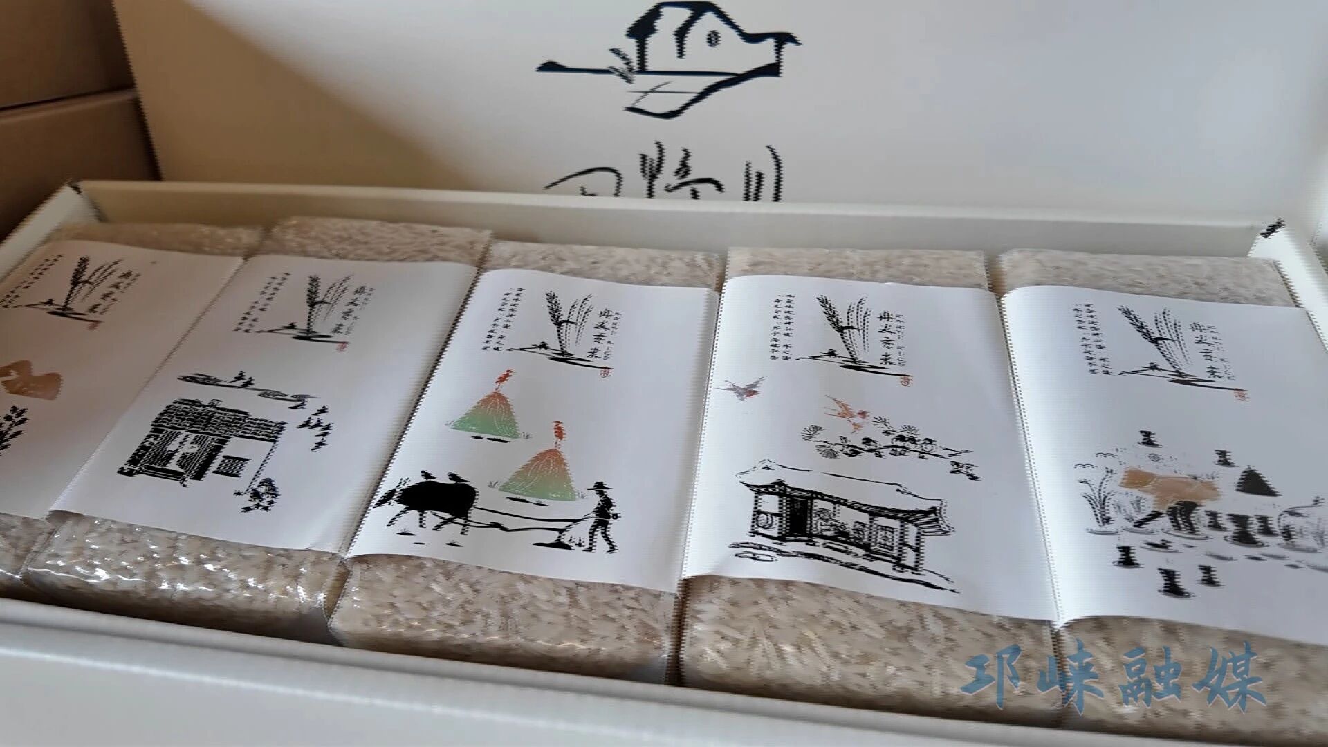 1762934500501070821.jpg 1762934500501070821.jpg