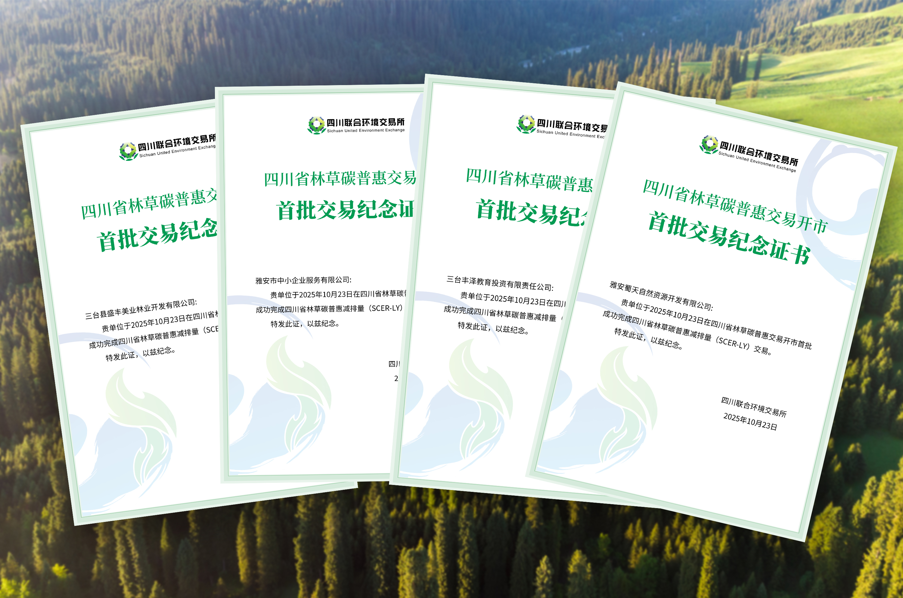 1767945204436017007.jpg 1767945204436017007.jpg